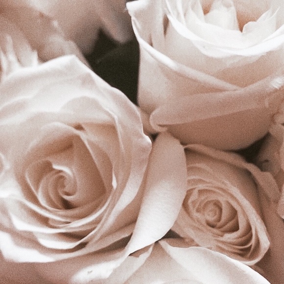 Meet your Posher, Kristen - Picture 1 of 1